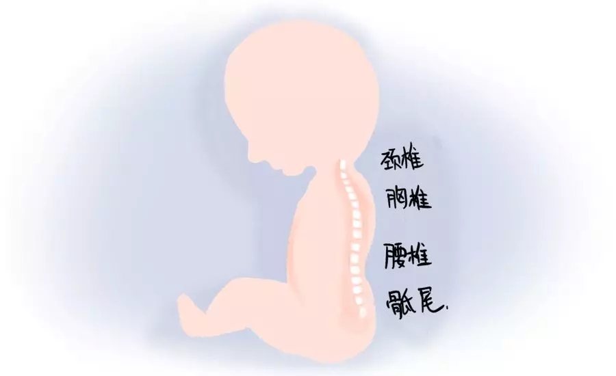 һڰʺƪһҪ1.webp.jpg